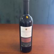 Tintos: VILLA DE VINHAS MERLOT (Vinícola Zanella) - Vinho