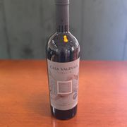 Tintos: TERROIR CABERNET FRANC (Casa Valduga) - Vinho