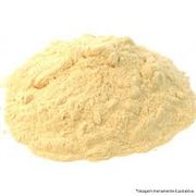 Produtos Naturais: Cardo Mariano em pó 50g - Protege o fígado, desintoxica e tem ação antioxidante.