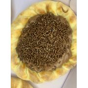 Esfihas Abertas Doces: Esfiha Aberta Brigadeiro - Esfiha Aberta