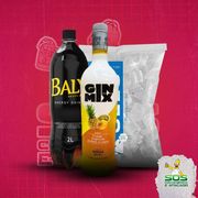 Kits de Gin 1: Gin Mix Frutas Tropicais + Baly 2L + Gelo 3kg)