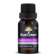 Óleos essenciais & vegetais: Óleo essencial de Lavanda francesa 10ml EverGreen - Auda a acalmar, reduzir estresse e ansiedade, melhorar o sono, aliviar dores leves e cuidar da pele, graças à sua ação relaxante, anti-inflamatória e antisséptica.