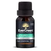 Óleos essenciais & vegetais: Óleo essencial de Eucalipto 10ml Evergreen - Ajuda a aliviar a congestão respiratória, facilitar a respiração, ter ação antisséptica e refrescante, além de auxiliar no alívio de dores musculares.