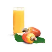 Suco: Suco Caju Polpa 330ml - Suco
