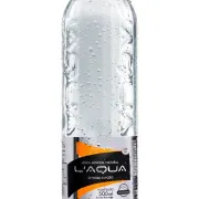 Água: Água com gás 500ml L