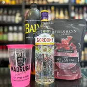 Combos: combo gin gordons neutra - DINHEIRO