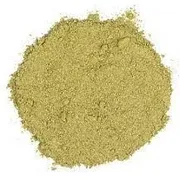 Produtos Naturais: Espinheira santa extrato seco 50g - Protetor gástrico natural, o extrato seco de espinheira-santa ajuda a aliviar gastrite, azia e úlceras, além de melhorar a digestão.