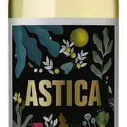 VINHOS: Astica Torrontes - Astica Torrontes