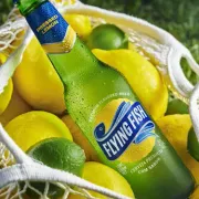 Cervejas: FLYING FISH 330ML)
