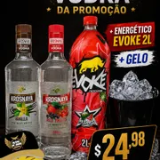 Kit´s Completo: Kit Promoção Vodka+QN+Gelo - favor escolher o sabor do energetico nas observações