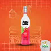 Gin: Gin Mix Morango 900ml)
