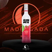 Gin: Gin Mix Morango 900ml)