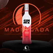 Gin: Gin Mix Melancia 900ml)