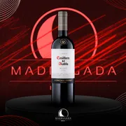 Vinhos: Vinho Chileno Casillero del Diablo Malbec 750ml)