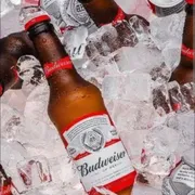 Cerveja + gelo: Combo Budweiser - 6 Long neck de budweiser 330ml embaladas no saco de gelo.