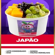 Açai no Pote: Açai no Pote 240ml JAPÃO - Açai no Pote (Ingredientes: Frutas Vermelhas, Kiwi, Leite Condensado, Manga)