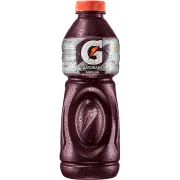 REFRIGERANTES: Gatorade Uva - ....