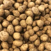 Castanhas: Amendoim crocante barbecue 100g - Ingredientes: amendoim, farinha de trigo, sal, açúcar, molho de soja, amido de milho, condimento bbq e realçador de sabor.