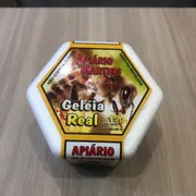 Mel & Derivados: Geleia real 15g Apiário Martins - Fortalece a imunidade, aumenta a disposição e energia, possui ação antioxidante, auxilia na saúde da pele e pode contribuir para o bem-estar e a vitalidade.