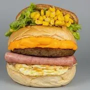 Hambúrguer: FERA DA FAMÍLIA - Hambúrguer (Ingredientes: )