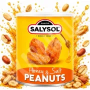 Nuts: Salysol Honey & Salr Peanuts 100g -