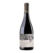Brasil: Fração Única Pinot Noir - Região: Serra Gaúcha, Brasil| Uva: Pinot Noir | Envelhecimento: Pode apresentar passagem por barricas de carvalho e/ou amadurecimento em garrafa (conforme o lote), buscando preservar a elegância, os aromas de frutas vermelhas e a suavidade dos taninos | Teor Alcoólico: Aproximadamente 12,5% a 13%| Harmonização: Peixes mais estruturados, salmão, atum, aves assadas, massas leves, risotos de cogumelos, carnes suínas, embutidos delicados e queijos de média intensidade.