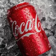 Refrigerantes| Sucos | Águas: Coca Cola 350ml -