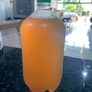 Cervejas: VINHO BRANCO 1,5 L - CHOPP