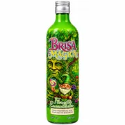 Brisa Magica: Brisa Mágica - Floresta Encantada - Essência verde e mística inspirada na natureza ! 900ml