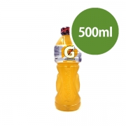 Outros: Gatorade Maracujá 500ml - Gatorade