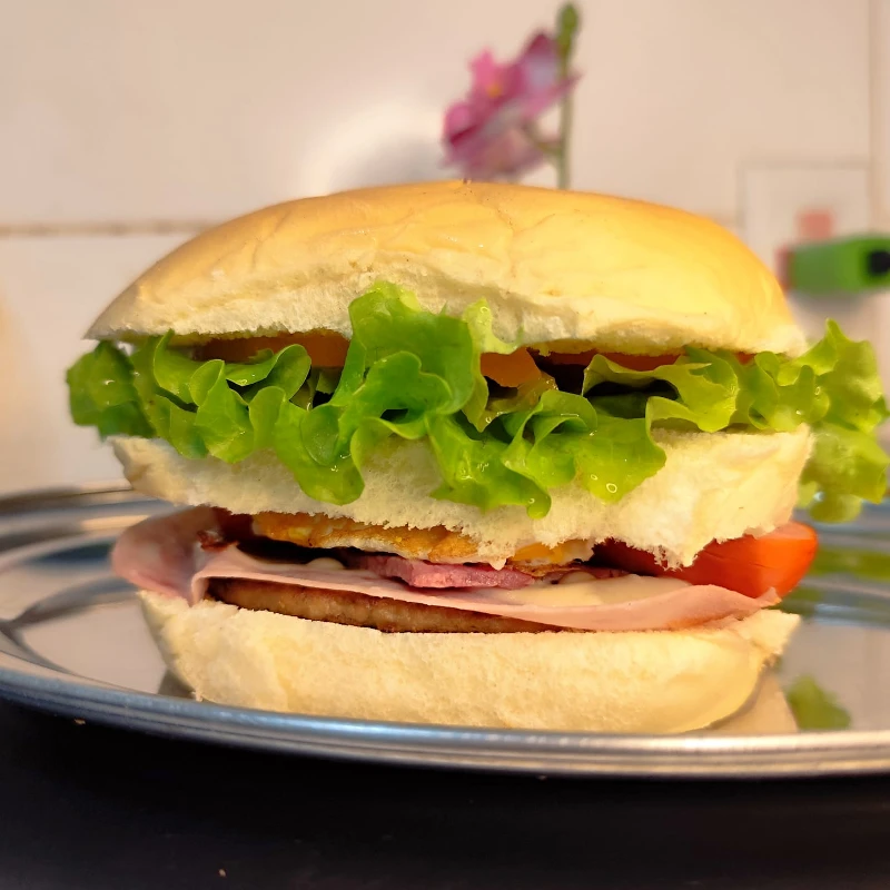 Lanches: X-TUDO - Lanches (Ingredientes: BACON, HAMBÚRGUER, MUSSARELA, OVO, PRESUNTO, SALADA, SALSICHA)