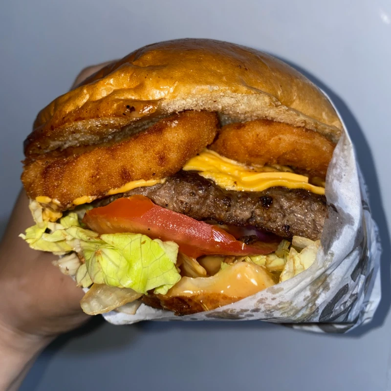 Lanches Especiais: Onions - Lanches Especiais/Artesanais (Ingredientes: Alface Americana, Cebola Roxa, hambúrguer Artesanal 150G, Molho Especial, Onions, Pão de Brioche, Queijo Cheddar, Tomate)